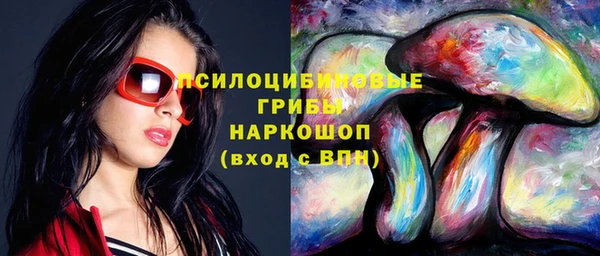 ECSTASY Абаза
