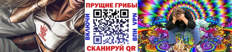 купить наркотики сайты  Ангарск  Галлюциногенные грибы Cubensis 